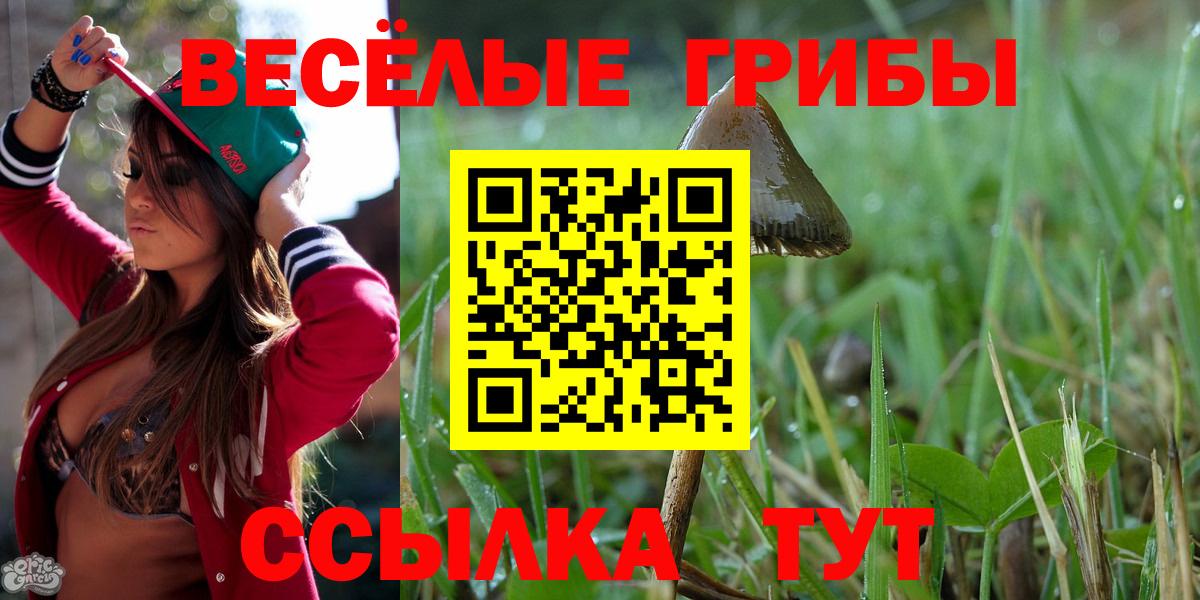 Псилоцибиновые грибы Psilocybine cubensis  Вход с VPN  как найти закладки  Ессентуки 